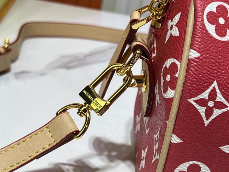 LV Speedy Bags